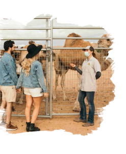 Guests learning about Dromedary Camels at Camel Safari Zoo
