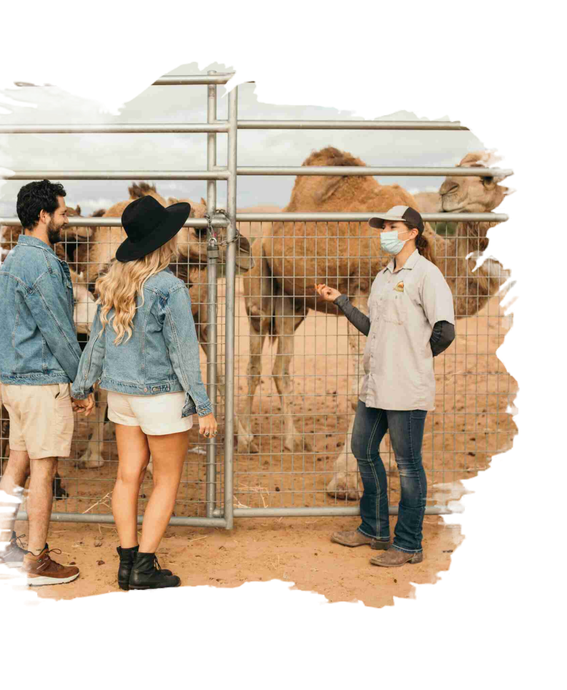 camel safari.com