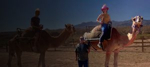 Camel Rides in Las Vegas at Camel Safari Zoo