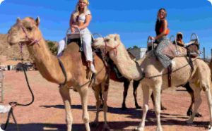 Camel Rides Las Vegas at Camel Safari Zoo